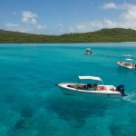 Excursion Petite Terre : une journée entre lagon et réserve naturelle en Guadeloupe